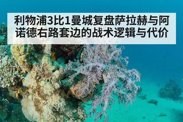 利物浦3比1曼城复盘萨拉赫与阿诺德右路套边的战术逻辑与代价